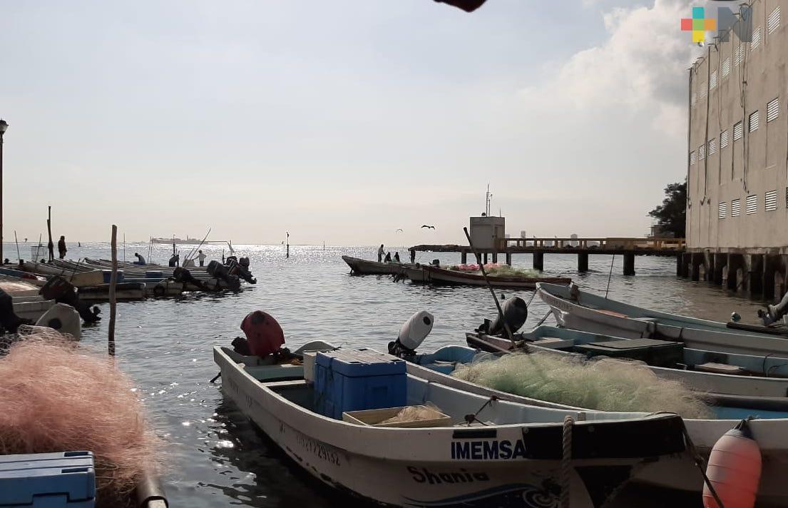 En un 30% cayó este año la venta de pescados y mariscos en Veracruz