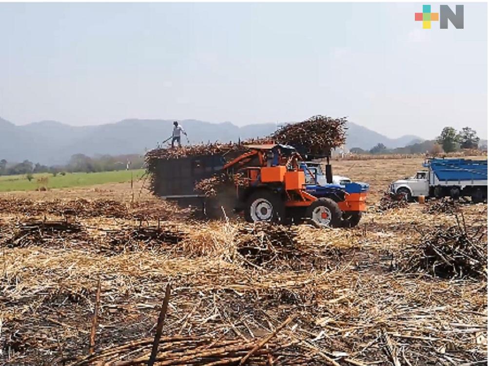 Productores cañeros reconocen respaldo federal y estatal al fortalecimiento del sector azucarero