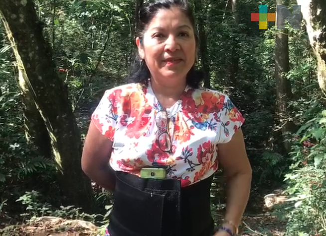 Sedema rehabilitará área natural protegida de La Martinica