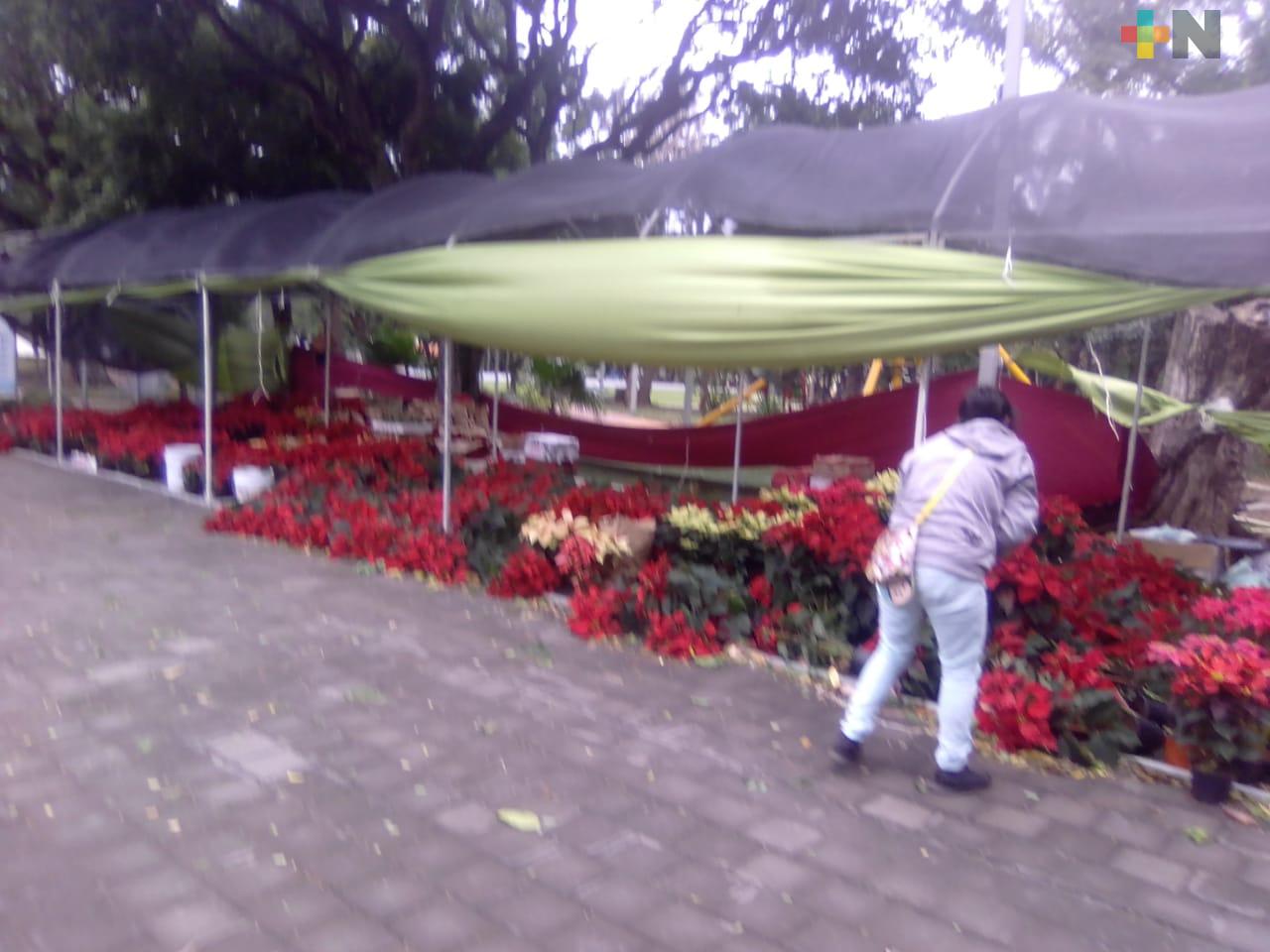 Vendedores de flores y árboles llegan a la ciudad de Veracruz a ofrecer sus productos