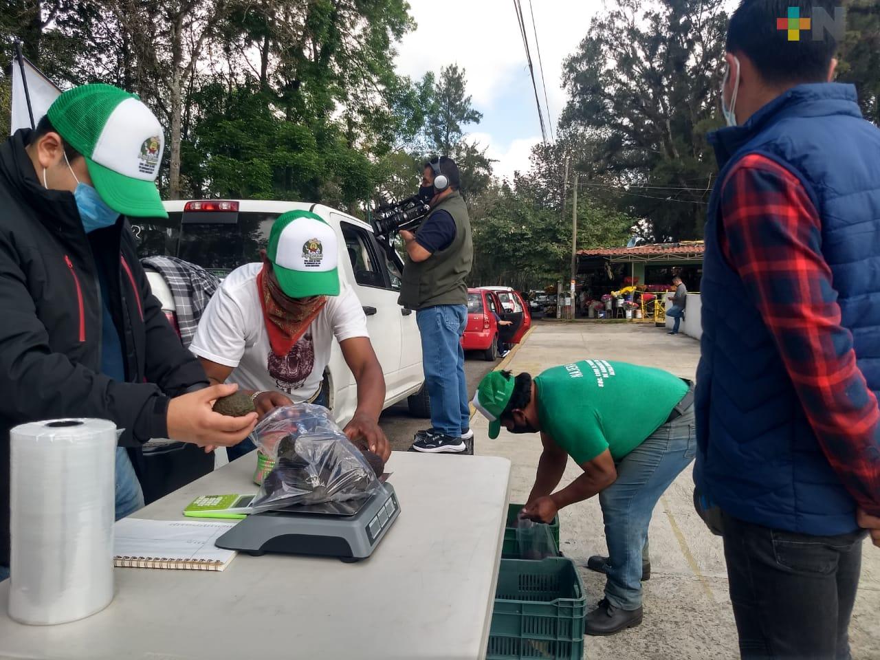 Productores de aguacate vendieron sin intermediarios para evitar coyotaje