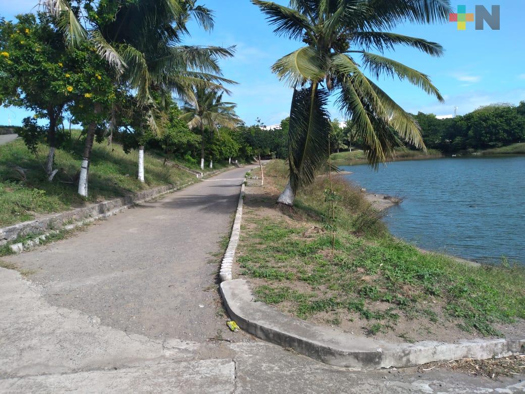 Retiro de luminaria empeoró la situación de laguna El Encanto de Veracruz