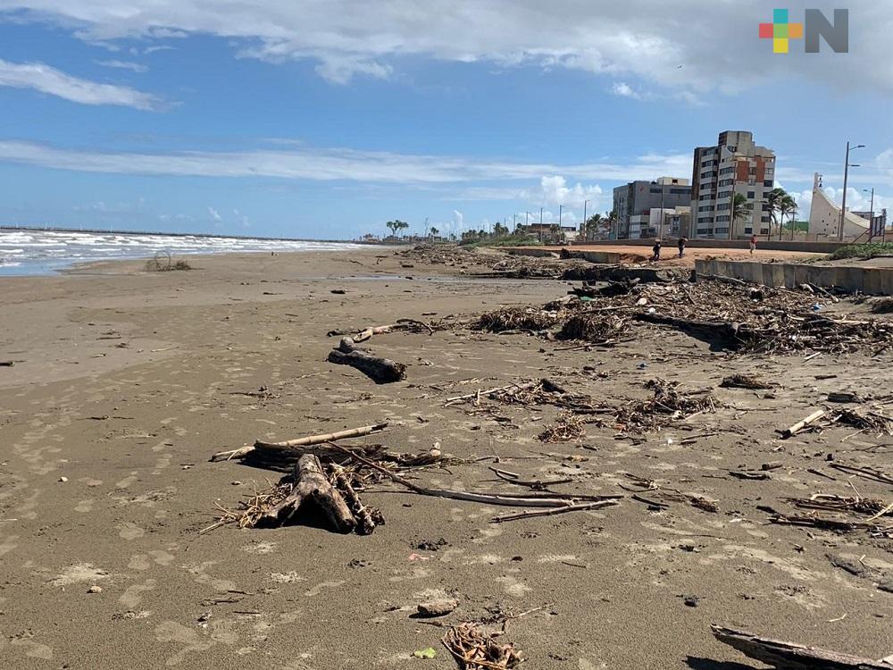 Por inundaciones se estima nuevamente recalen animales muertos a playas de Coatzacoalcos