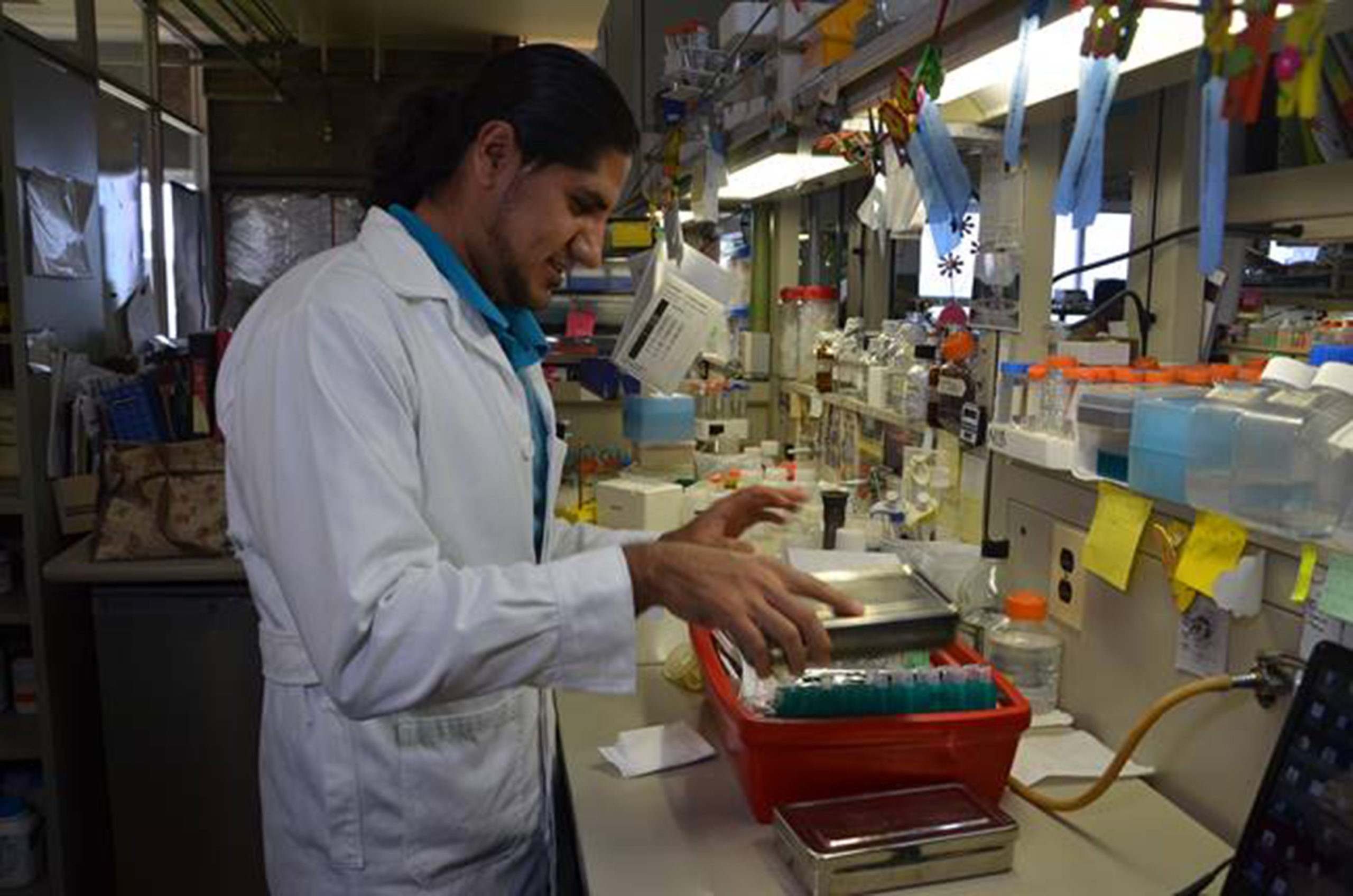 Desarrollan fármaco contra inflamación causada por enfermedades crónicas