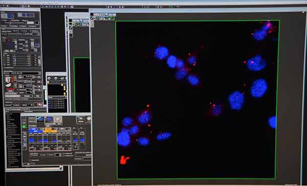 Desarrolla experto de la UNAM procesamiento de imágenes con inteligencia artificial