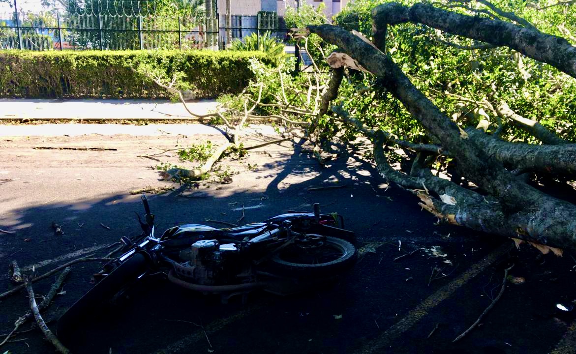 Pide Gobernador de Veracruz resguardarse ante el fuerte Norte que afecta al estado