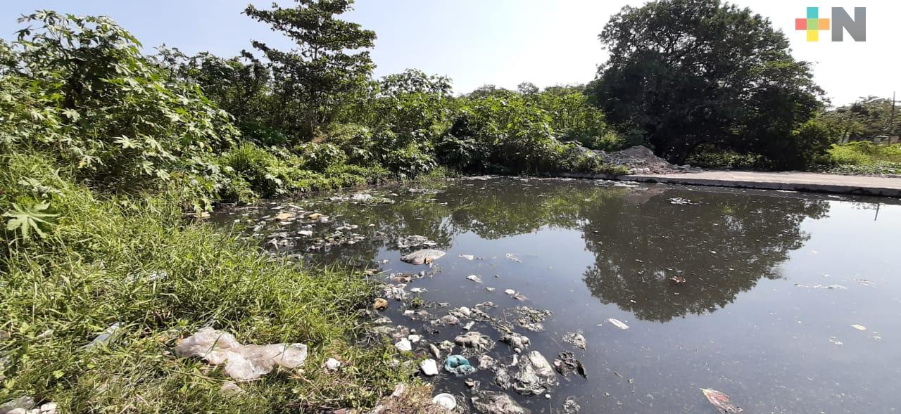 Reserva Natural de Arroyo Moreno, afectada por tiradero a cielo abierto