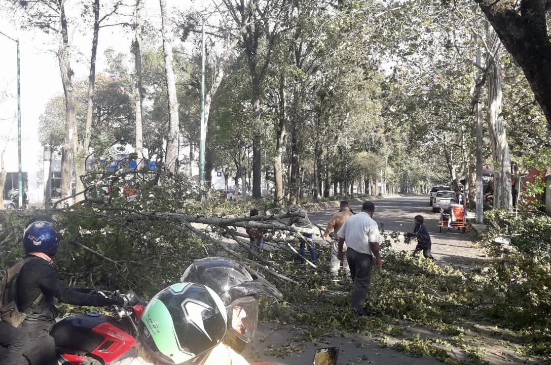 Con fuerte rachas de vientos entró el Frente Frío número 23 al Estado de Veracruz