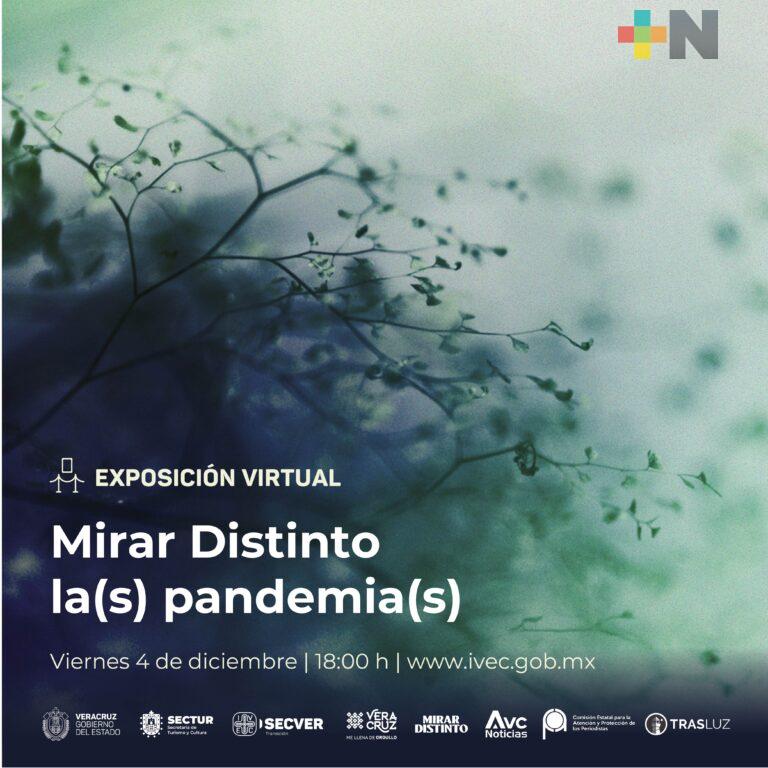 Invita IVEC a la exposición virtual Mirar Distinto La(s) Pandemia(s)