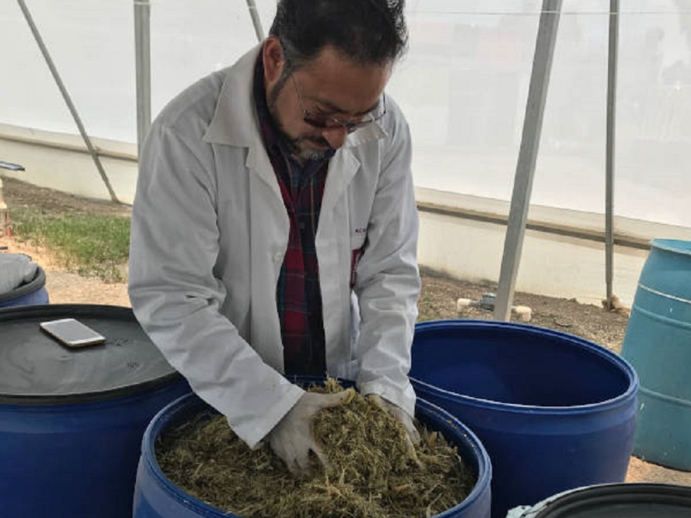 Contribuirá IPN a mejorar calidad de la leche