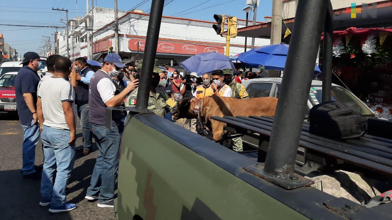 Aseguran 5 kilos de pirotecnia por venta ilegal en la ciudad de Veracruz
