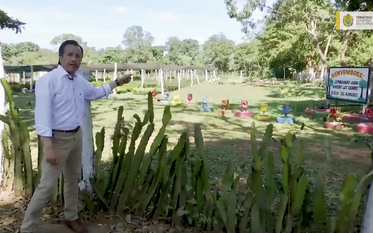 Gobernador Cuitláhuac García atestiguó resultados del programa Sembrando Vida en el sur de Veracruz