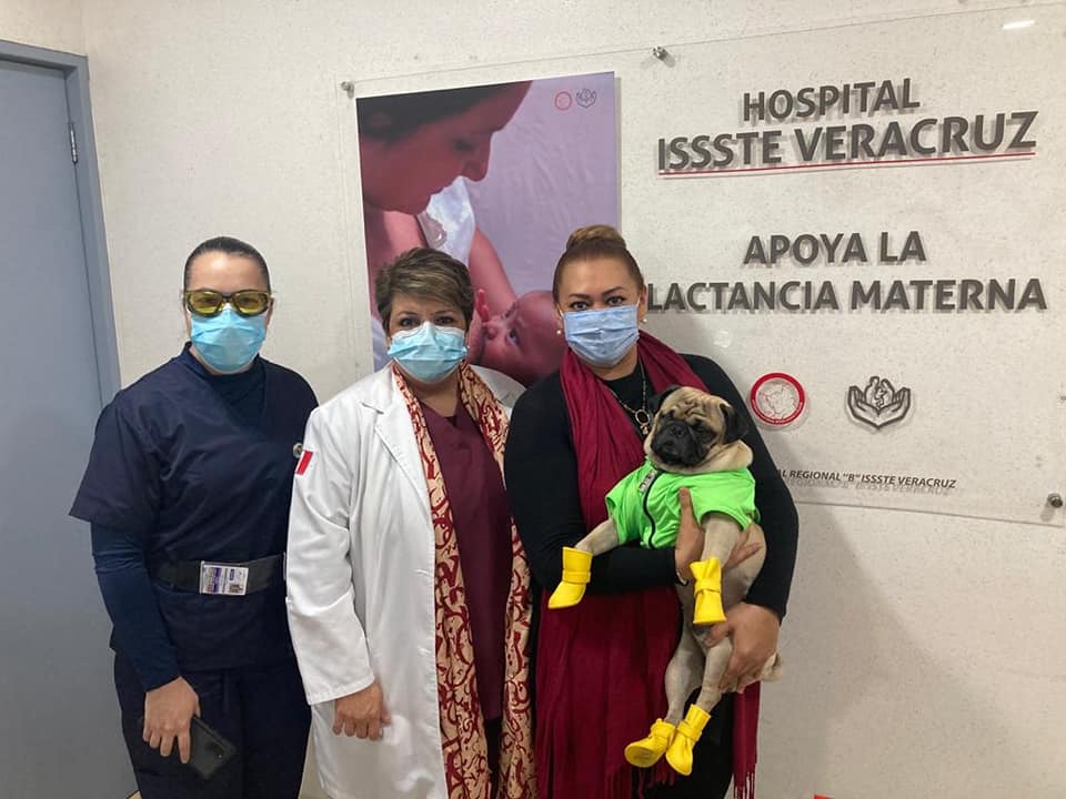Llega Harley “el tuerto” como apoyo emocional y humanitario al hospital regional ISSSTE-Veracruz