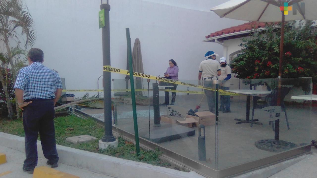 Choca camioneta contra café