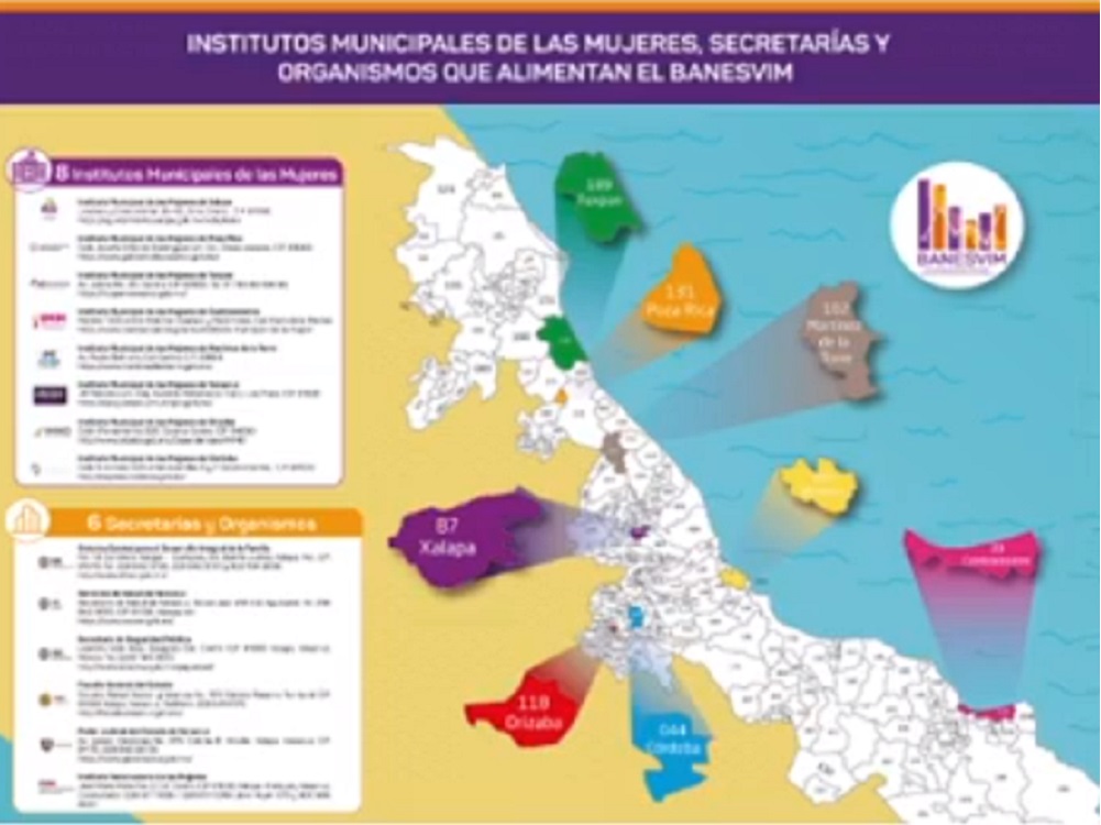 Instituto Veracruzano de las Mujeres pone a disposición información sobre violencia contra mujeres en Veracruz