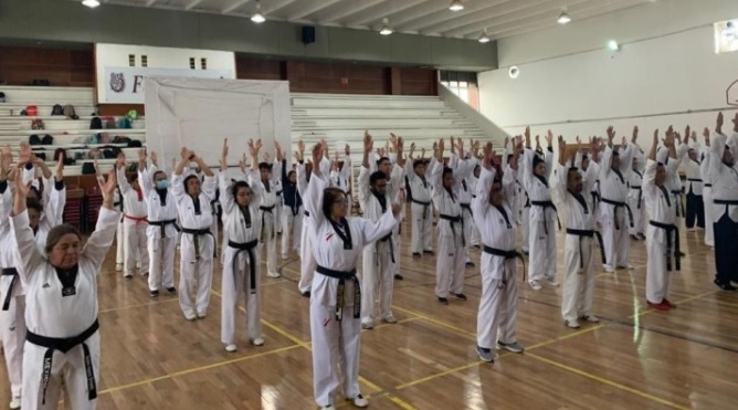 Veracruz participará en Entrenamiento Nacional Virtual de Taekwondo