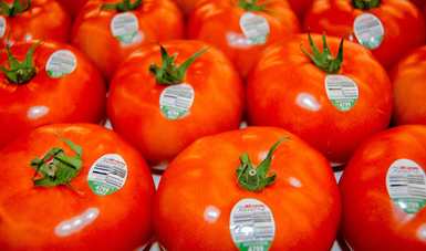 Cerveza, aguacate, tomate, tequila y mezcal entre bienes de consumo con mayor demanda internacional