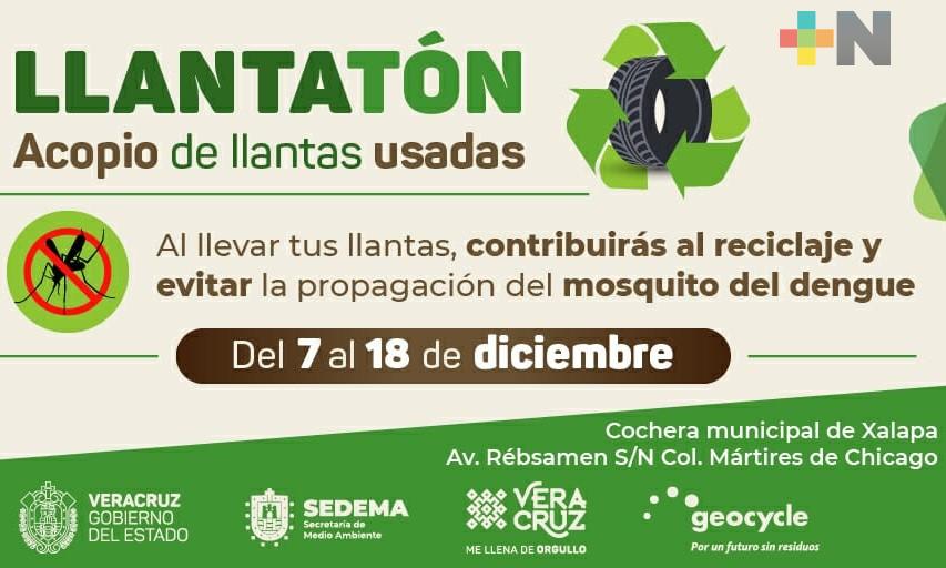 Continúa la recolección de llantas usadas en Xalapa