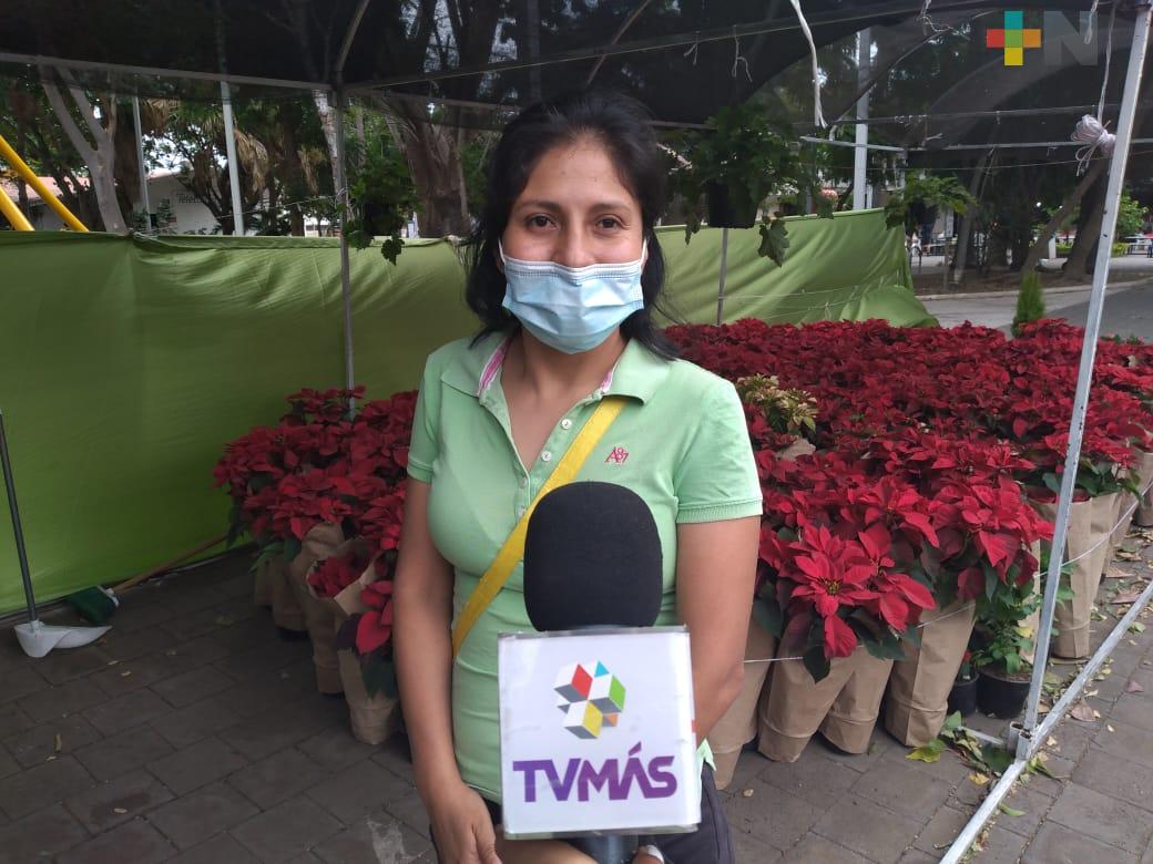 Rematarán Nochebuenas en la ciudad de Veracruz