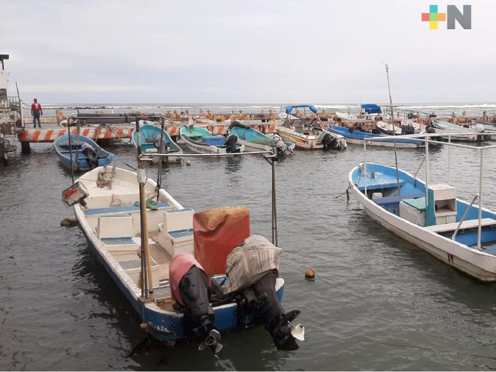 Caída de ventas afecta a pescadores de Veracruz-Boca del Río; esperan aprobación de proyectos
