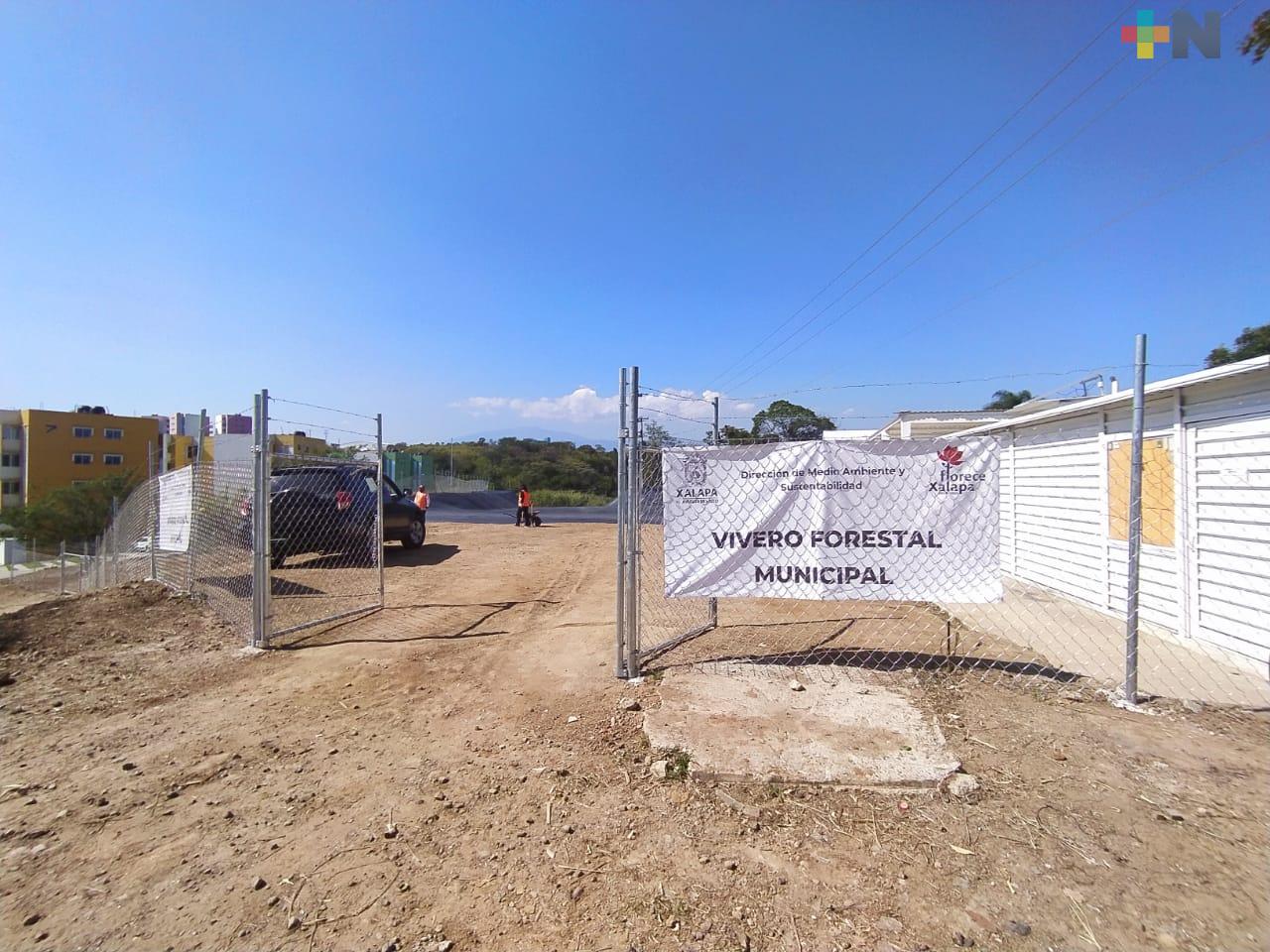 Ayuntamiento de Xalapa producirá 150 mil árboles al año con nuevo Vivero Forestal Municipal