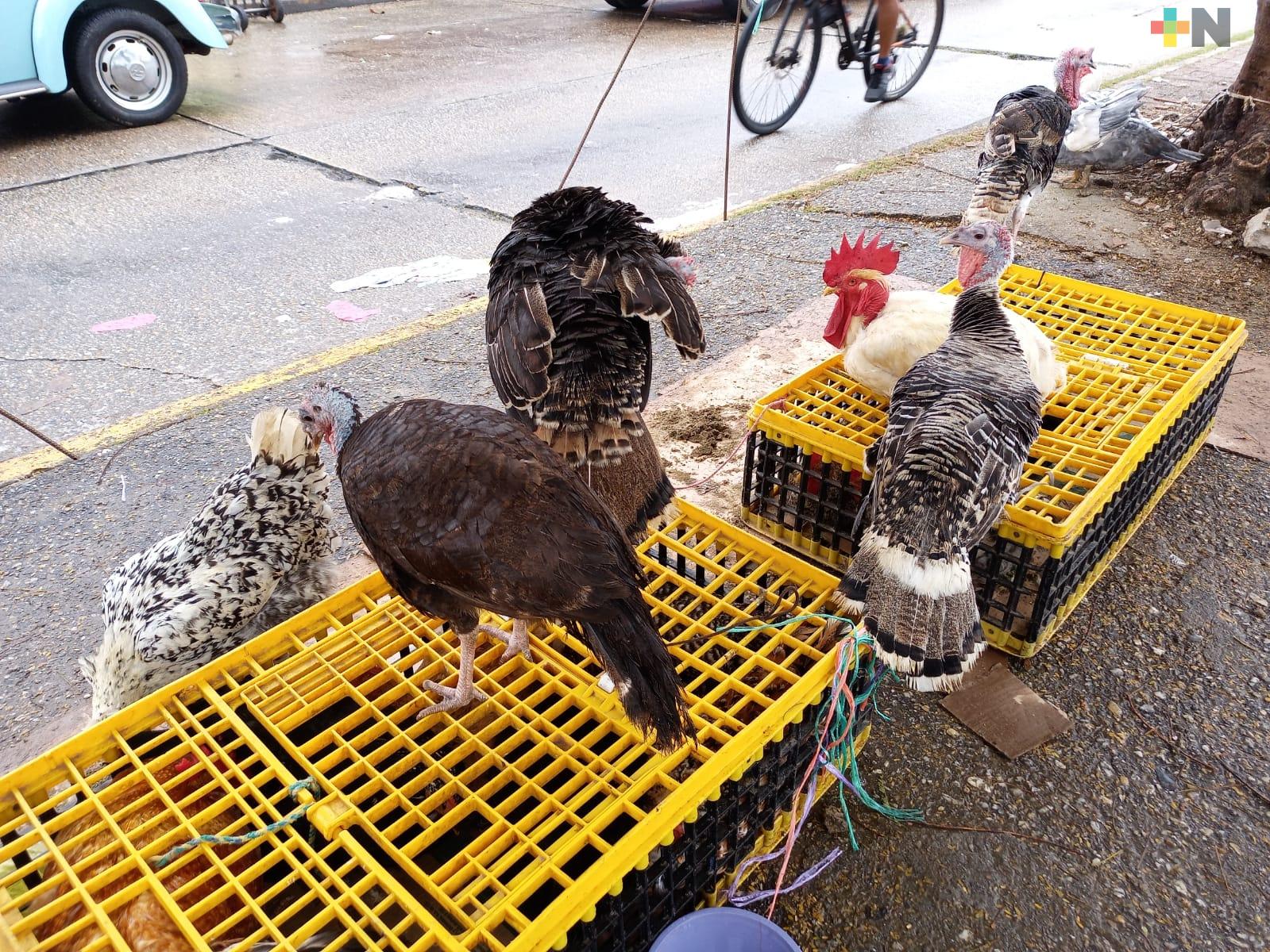 Inició venta de guajolotes y pollos criados en rancho, en Coatzacoalcos