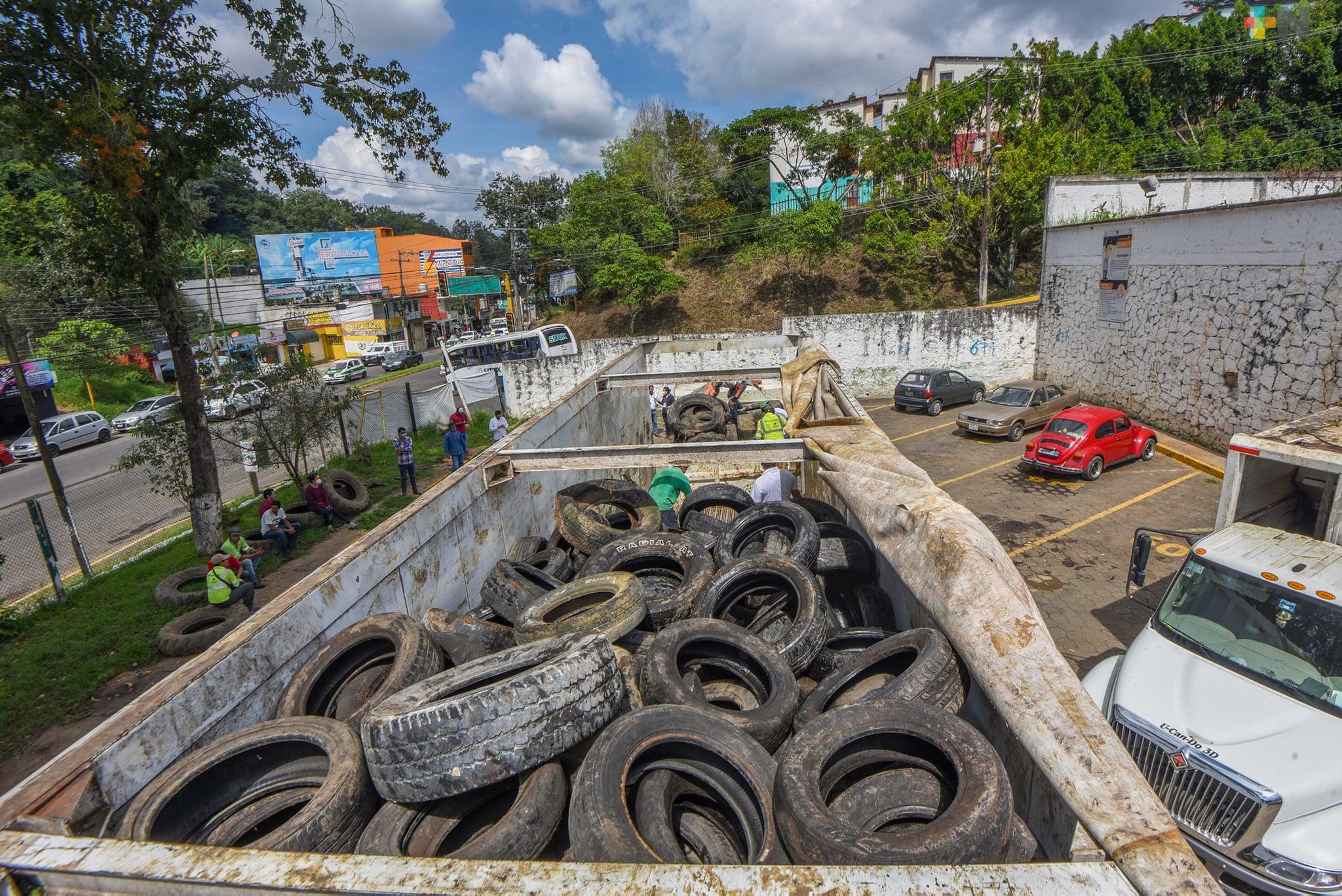 Acopia Ayuntamiento de Xalapa 150 toneladas de llantas