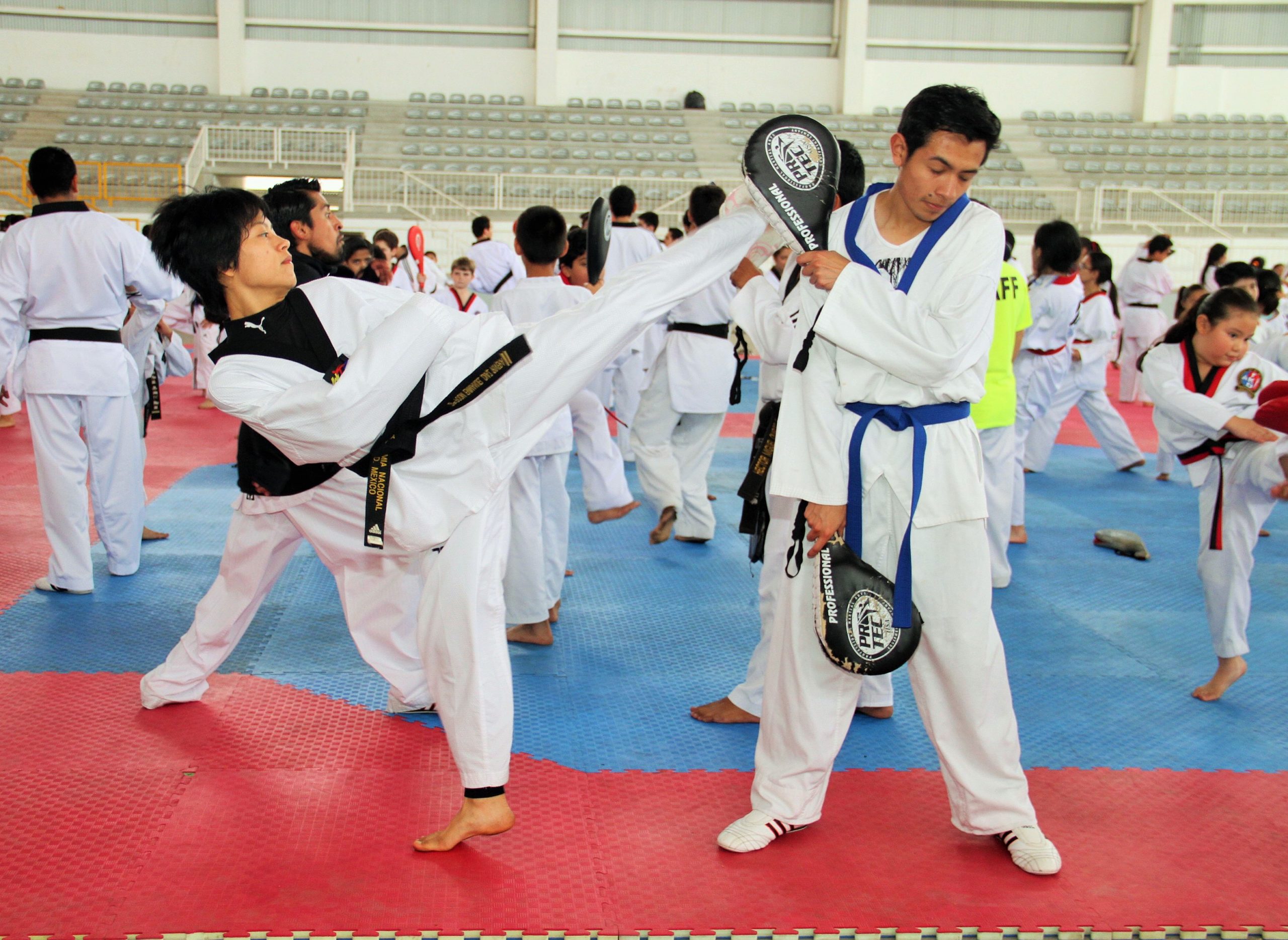 Taekwondoines veracruzanos se alistan para el Selectivo Nacional Junior 2021