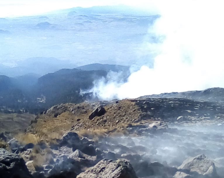 Incendio forestal en el volcán Iztaccíhuatl fue liquidado en su totalidad: Conafor