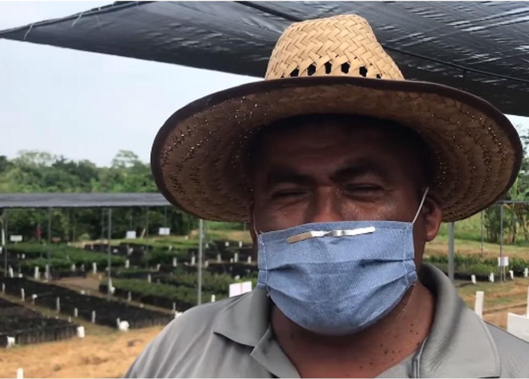 Con programa Sembrando Vida, familias veracruzanas dan valor agregado a productos que siembran