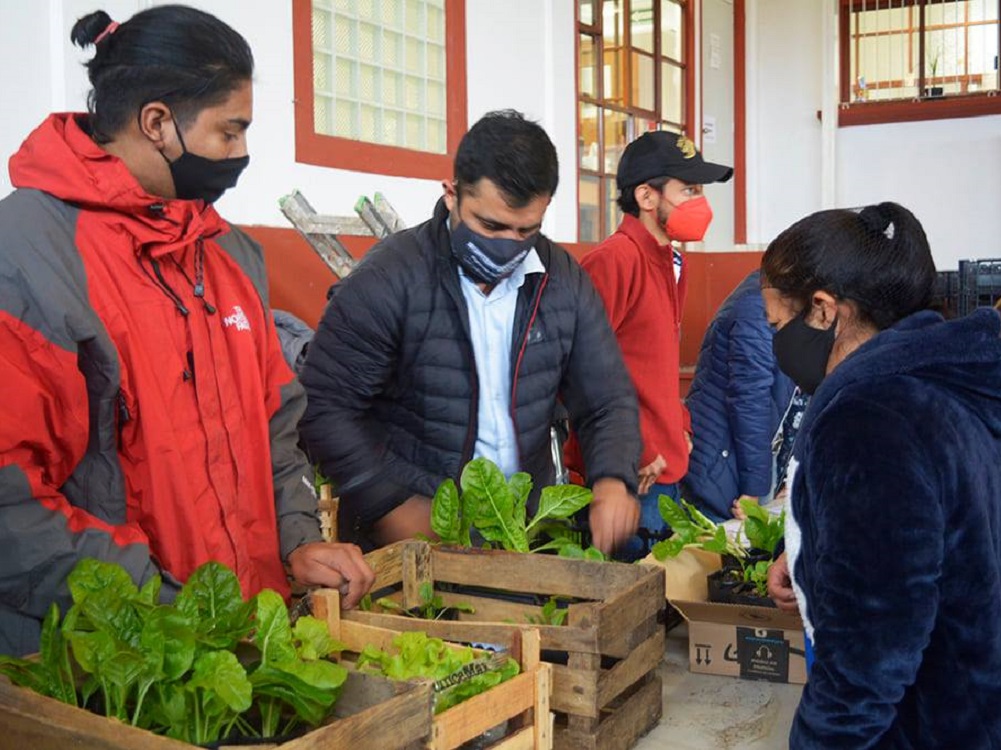 DIF Xalapa entregó plántulas como parte del apoyo social a la comunidad