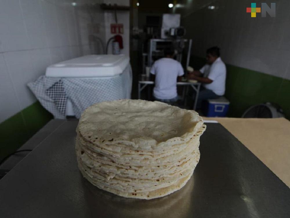 Ante aumento en precio del kilo de tortilla, comerciantes de Xalapa reportan leve disminución en venta