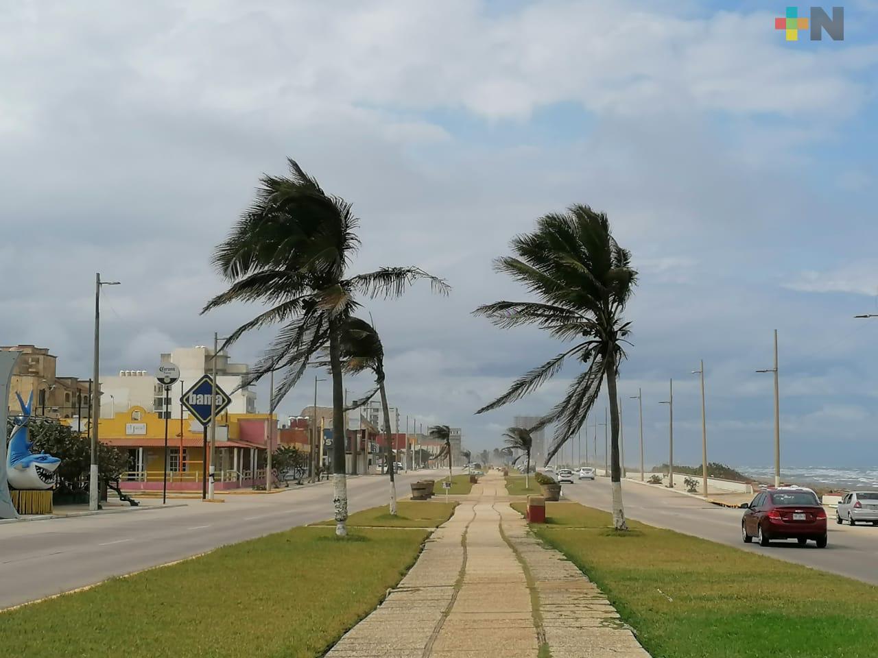 Norte y descenso de temperatura por frente frío 41 en la entidad veracruzana