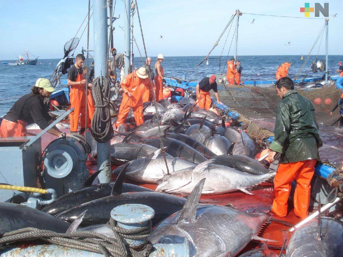 Sector pesquero enfrenta una de sus peores crisis