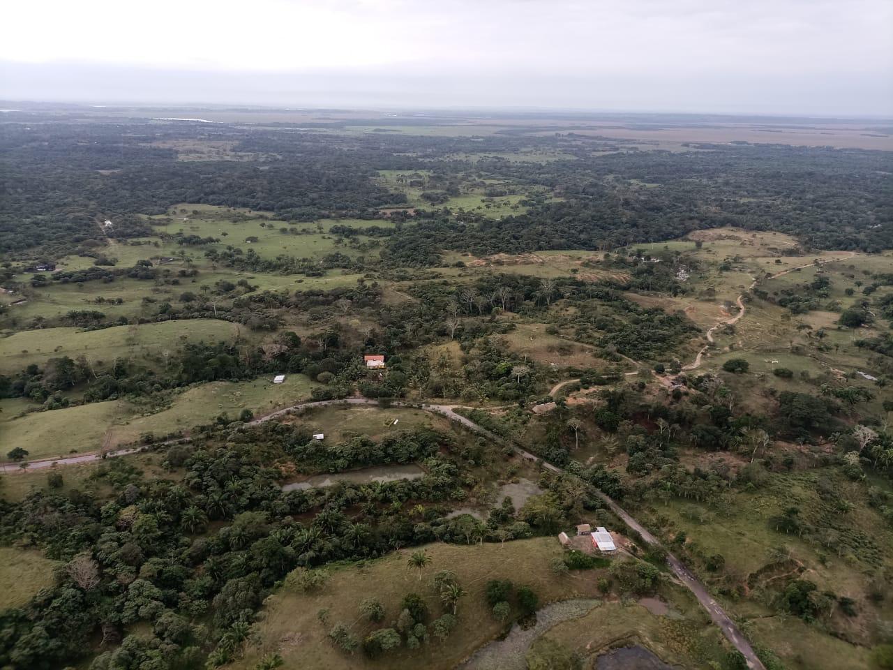 Confirma SSP homicidio de 12 personas en Las Choapas; realiza intenso operativo