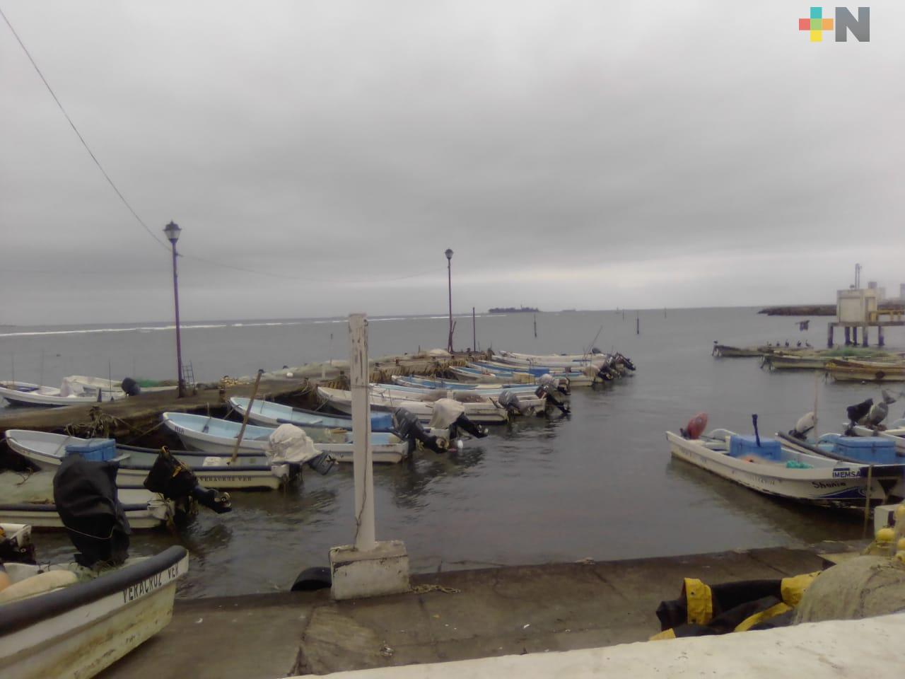Pescadores de Veracruz con pérdidas económicas por no poder salir a altamar