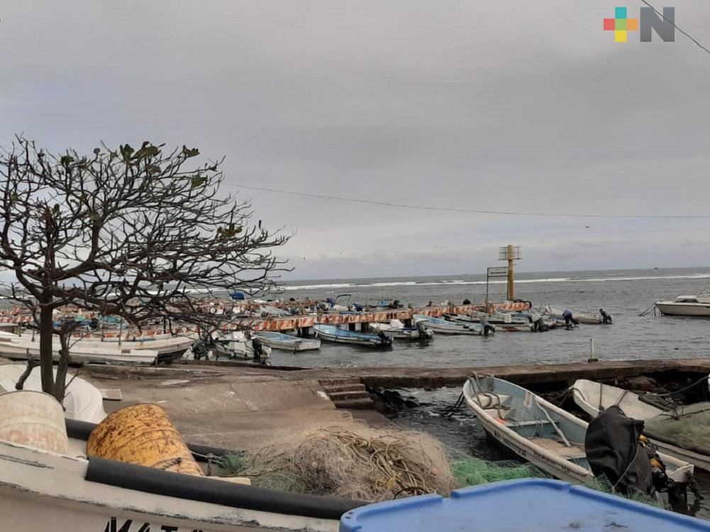 Frente Frío 32 provocará fuertes rachas de viento en zona Veracruz-Boca del Río
