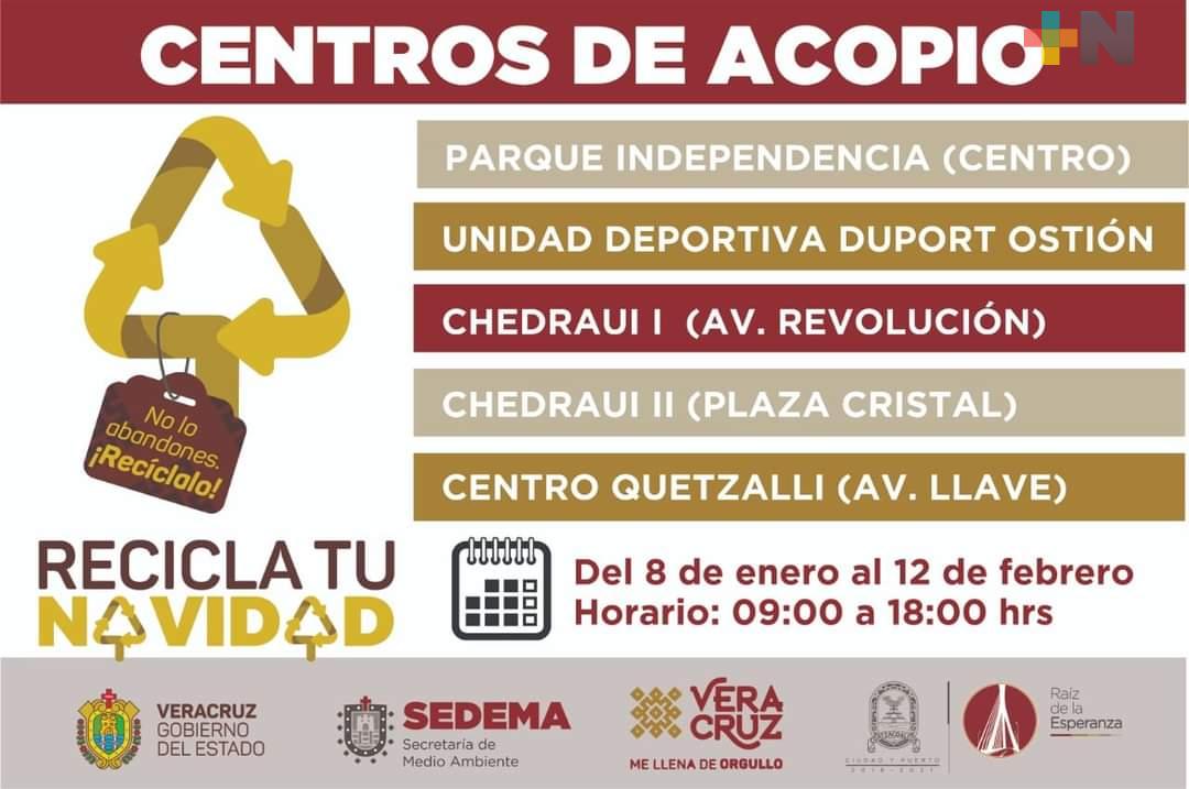Invitan a reciclar los pinos navideños en Coatzacoalcos