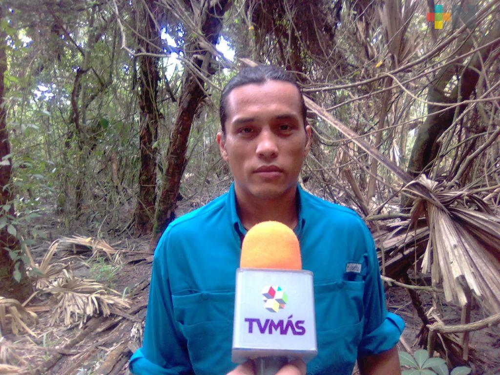 Pesca de tiburones puede representar un daño al ambiente si no existe regulación: Earth Mission