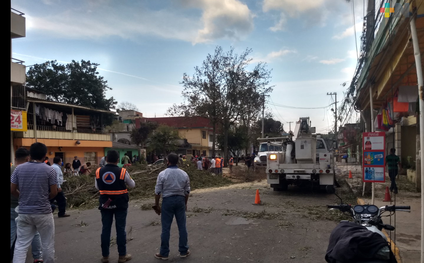 Cerrado el paso a vehículos en carretera antigua a Coatepec por caída de árbol