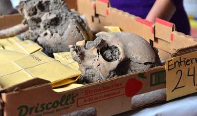 Continúa INAH con análisis de 80 entierros humanos prehispánicos descubiertos en Atlixco, Puebla