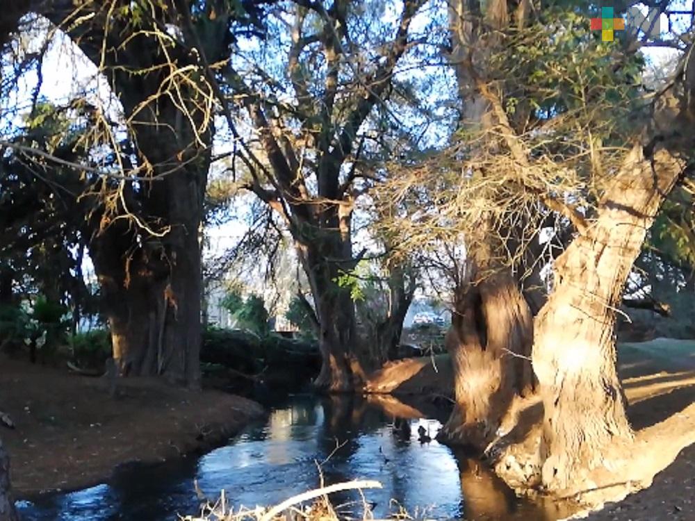 Autoridades de Huiloapan buscan recobrar paseo prehispánico a las riberas del Río Blanco