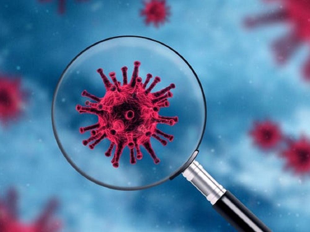 El coronavirus no se irá: OMS
