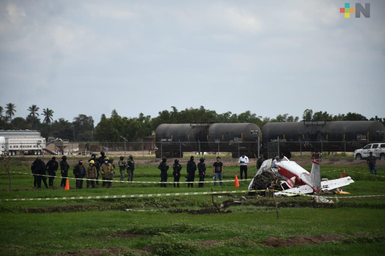 Nieto de Amado Carrillo habría muerto en accidente de avioneta