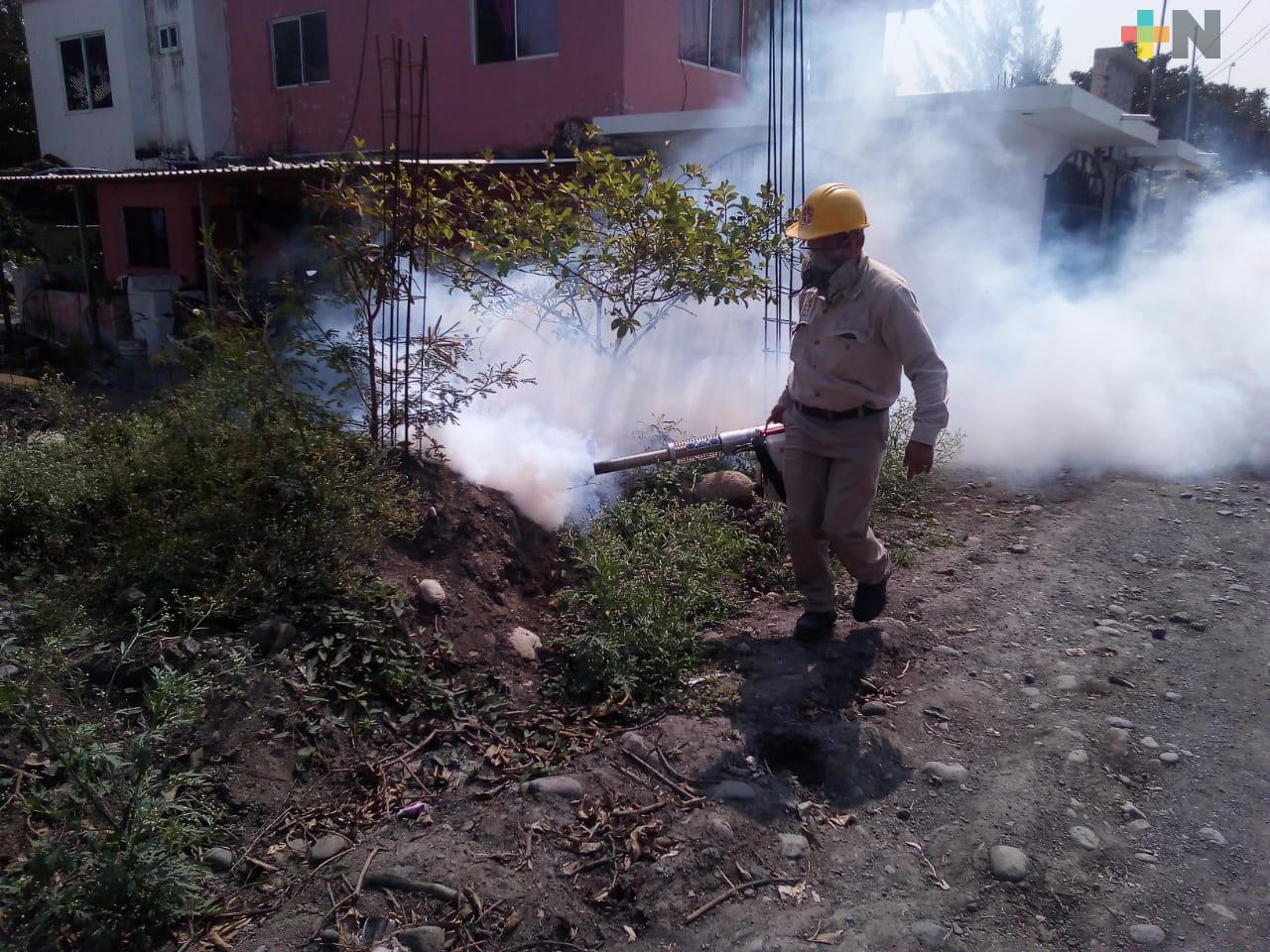 Con sólo cinco casos de dengue, Veracruz ocupa el séptimo lugar nacional con menos incidencia