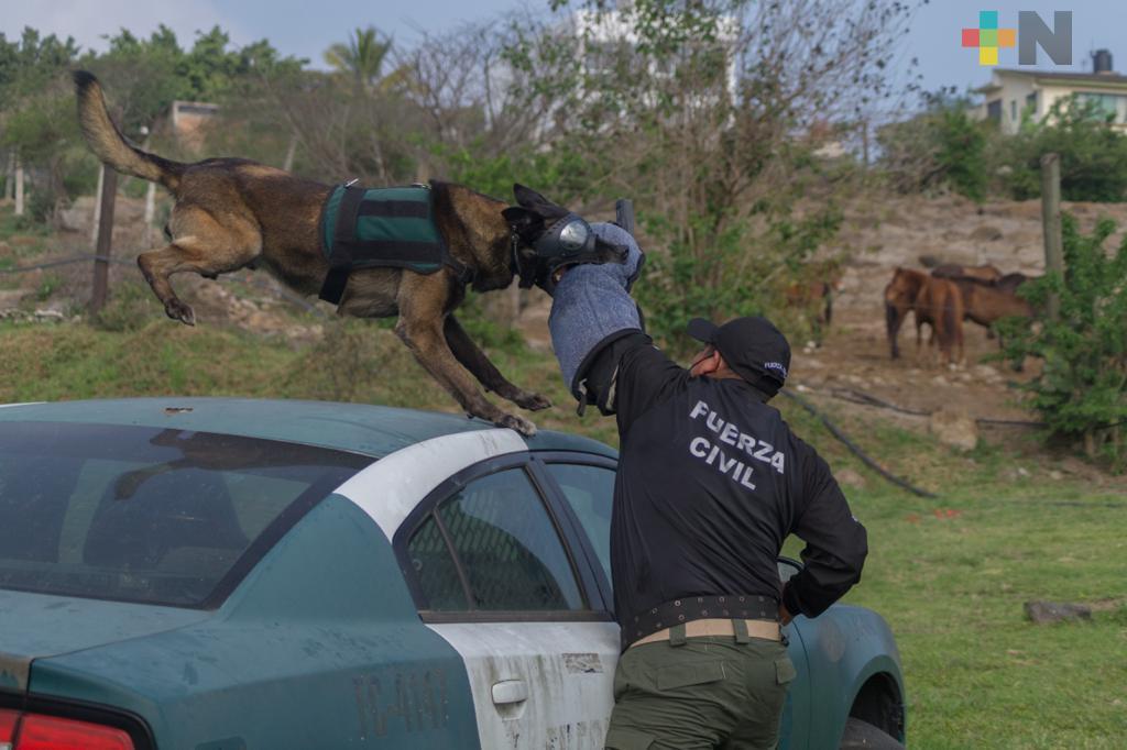 Centro de Estudios e Investigación en Seguridad (CEIS) de la SSP, sede del Diplomado Internacional Táctico K9 Perros Multipropósito