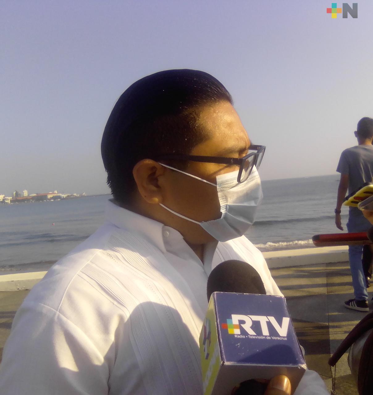 Un cocodrilo, un tlacuache y un zopilote fueron rescatados por Dirección de Medio Ambiente de Veracruz