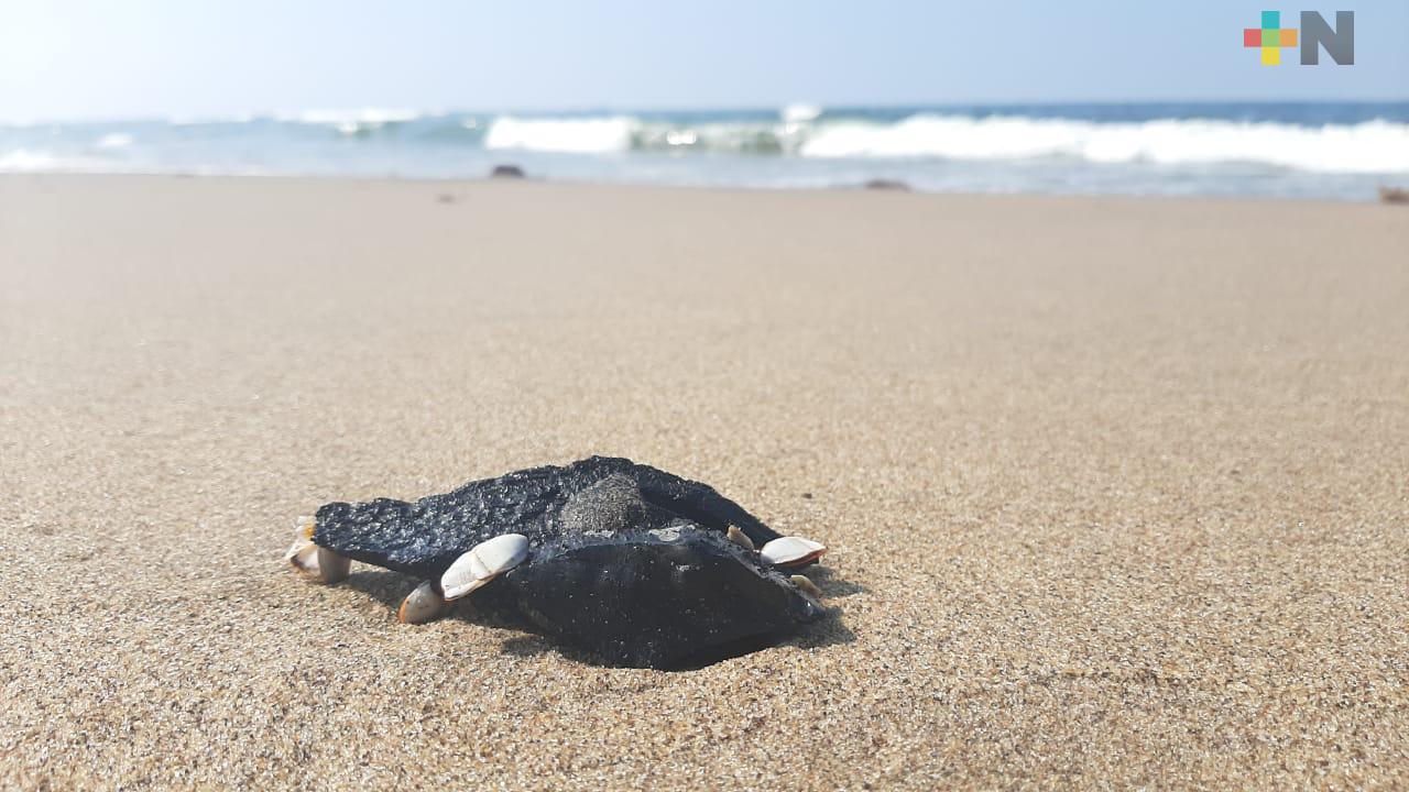 Semar analizará muestras de manchas de hidrocarburo aparecidas en playa de Villa Allende