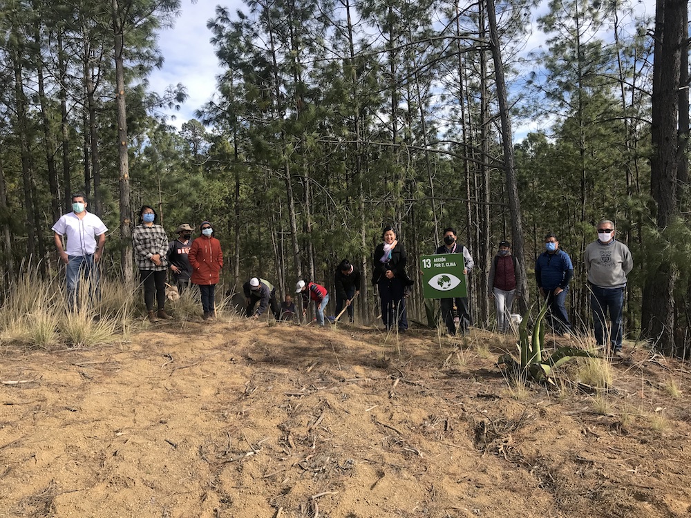 A través del programa de empleo temporal, Sedema realiza podas y brechas cortafuego en municipio de Altotonga