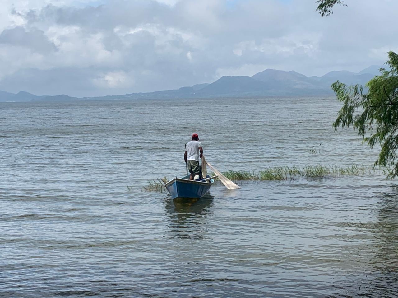Con esquema de reconversión productiva, promueve SEDARPA desarrollo de viveros y ganadería en Los Tuxtlas